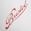 Luxury Printed Carrier Bag with Matt lamination Ref Bristol