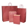 Brown Kraft Twisted Handle Paper Carrier Bags