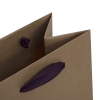 Luxury Print Kraft Paper Bag Ref Princesse Tam