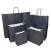 Magento Twisted Handle Paper Carrier Bags