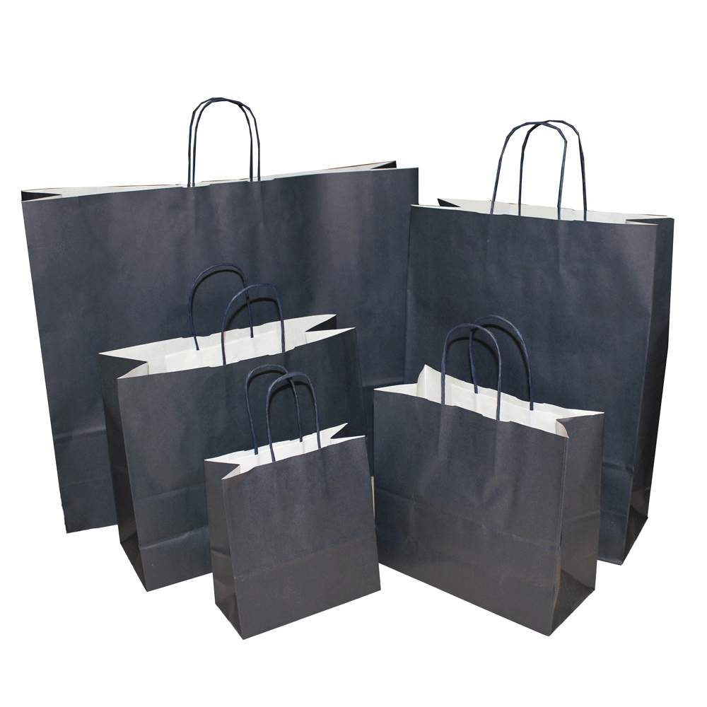 Navy Paper Bags | Twisted Handle Paper Bags - Precious Packaging