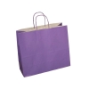 Magento Twisted Handle Paper Carrier Bags