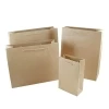 Brown Kraft Rope Handle Carrier Bags