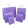 Purple Twisted Handle Kraft Paper Carrier Bags