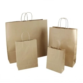 Natural Paper Bags With Twisted Handles
