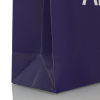 Luxury Rope handle paper bags ref Anchura