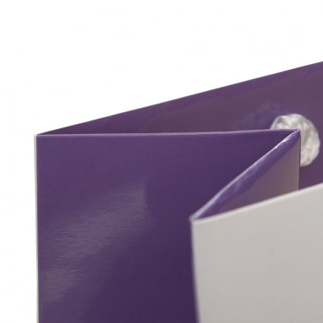 Luxury Gloss Rope Handle Bags - Ref Cambridge Magazine