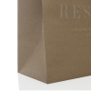 250x Uncoated Kraft Paper bags (MID) - The Restory