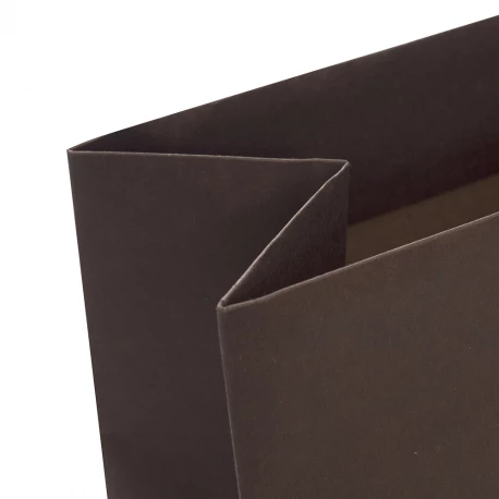 Ribbon Handle Paper Bags - Ref. Buxmead