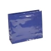 Luxury Navy Rope Handle Paper Carrier Bags
