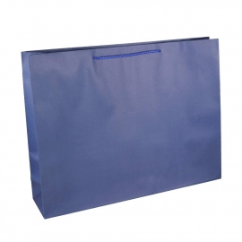 Recycled Blue Paper Bags With Rope Handles