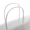 1000x Twisted Paper handle bags ref RB&HH
