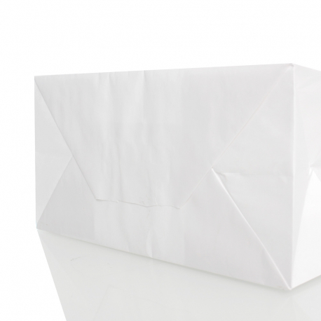 1000x Twisted Paper handle bags ref RB&HH 1000x Twisted Paper handle bags ref RB&HH