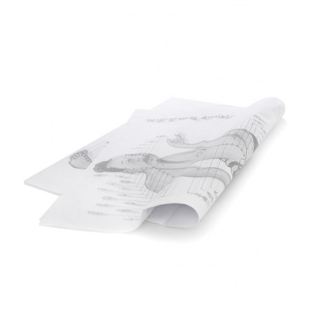 Printed Tissue Paper