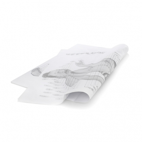 Printed Tissue Paper Printed Tissue Paper