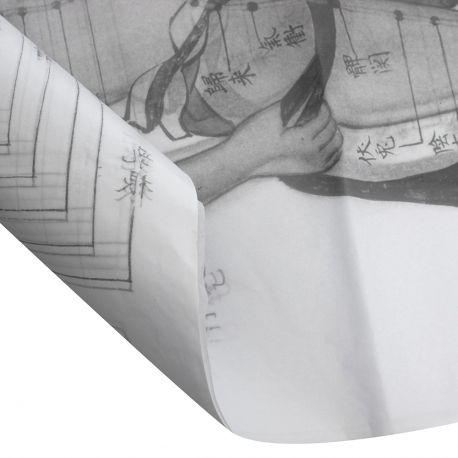 Printed Tissue Paper Printed Tissue Paper