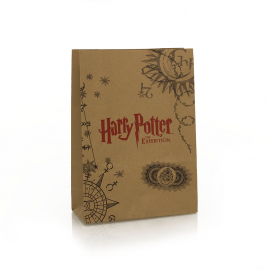 Printed Brown Handleless Paper Bags Ref Harry Potter